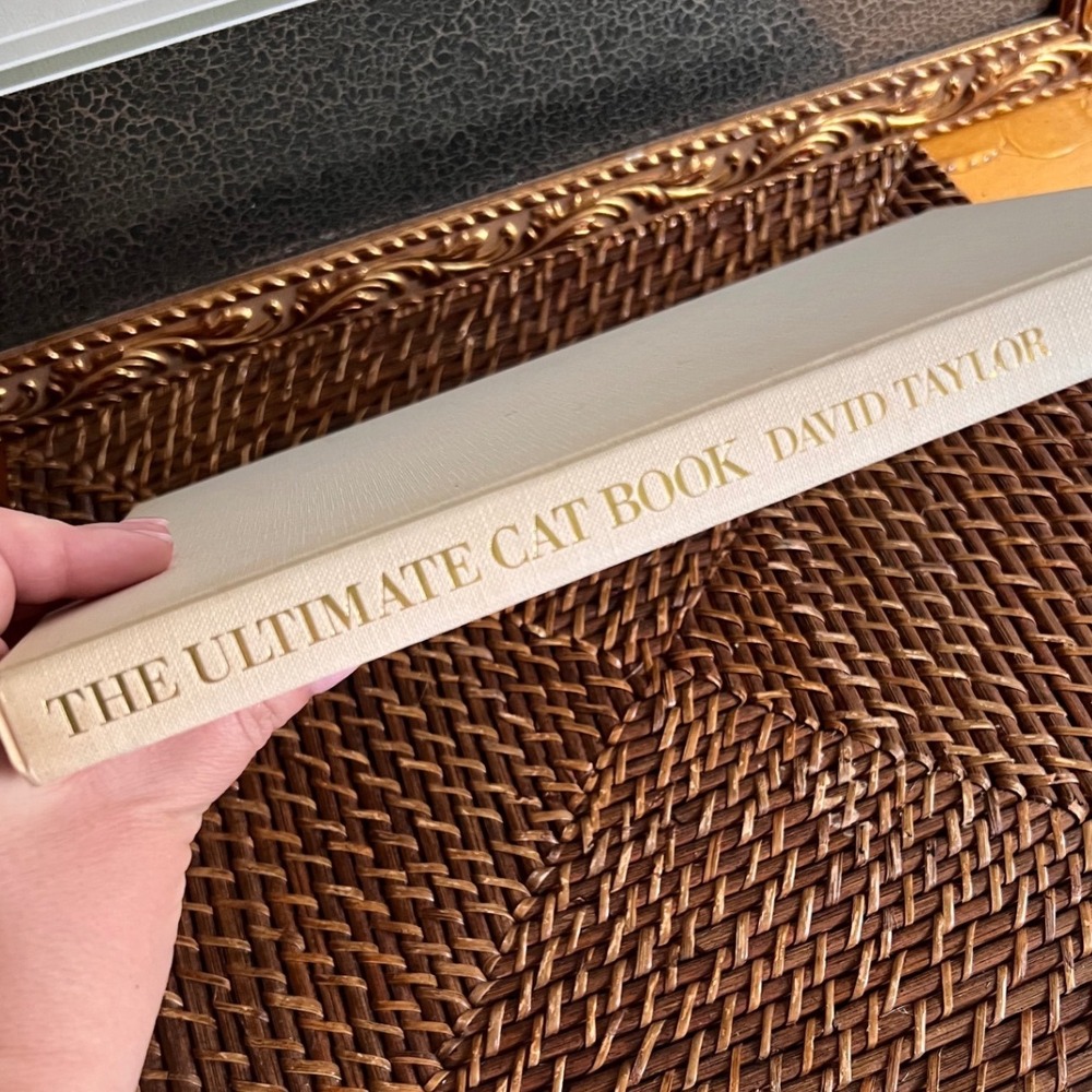 The Ultimate Cat Book David Taylor 1989 Hardcover Dorling Kindersley Illustrated